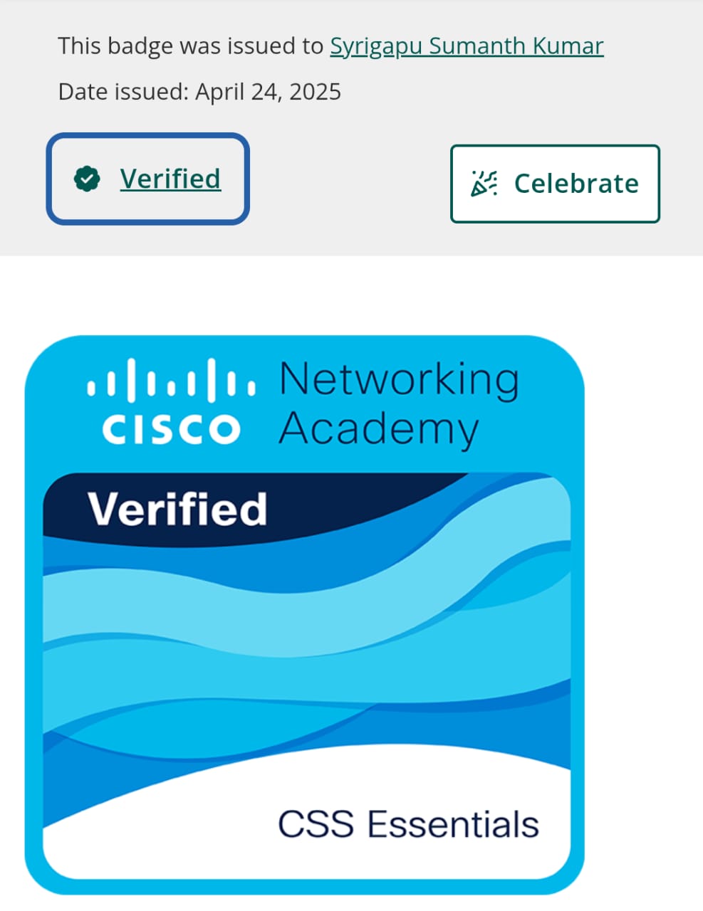 Badge 4